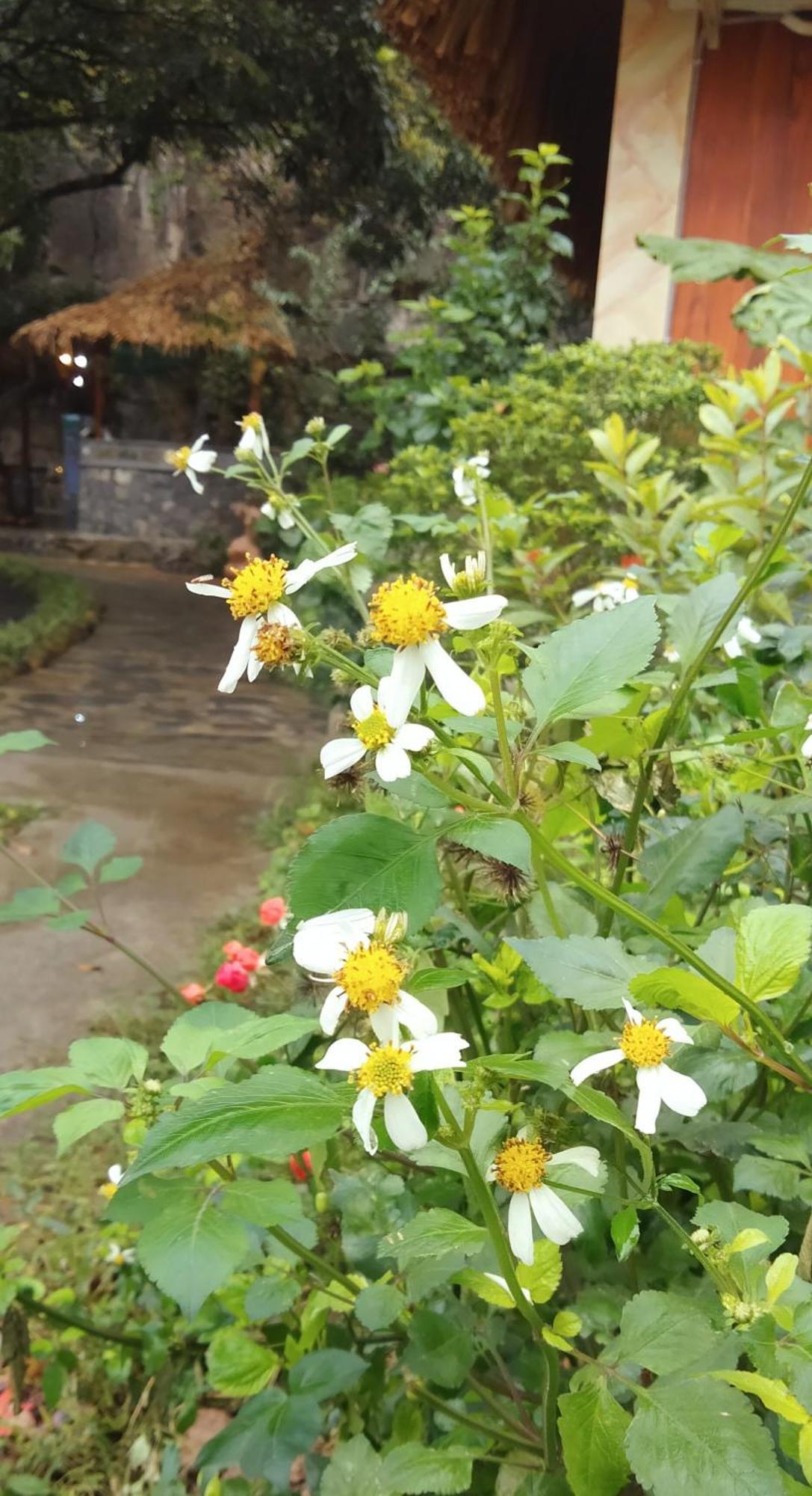 Hang Mua Eco Garden Xuan Son Exterior photo