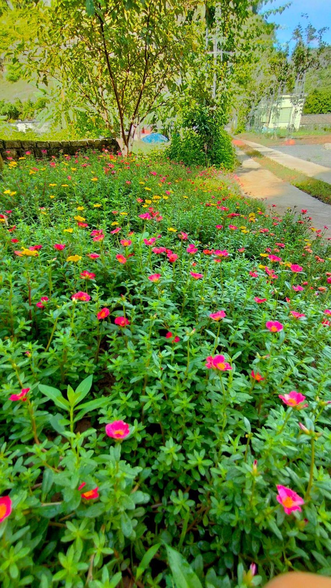 Hang Mua Eco Garden Xuan Son Exterior photo