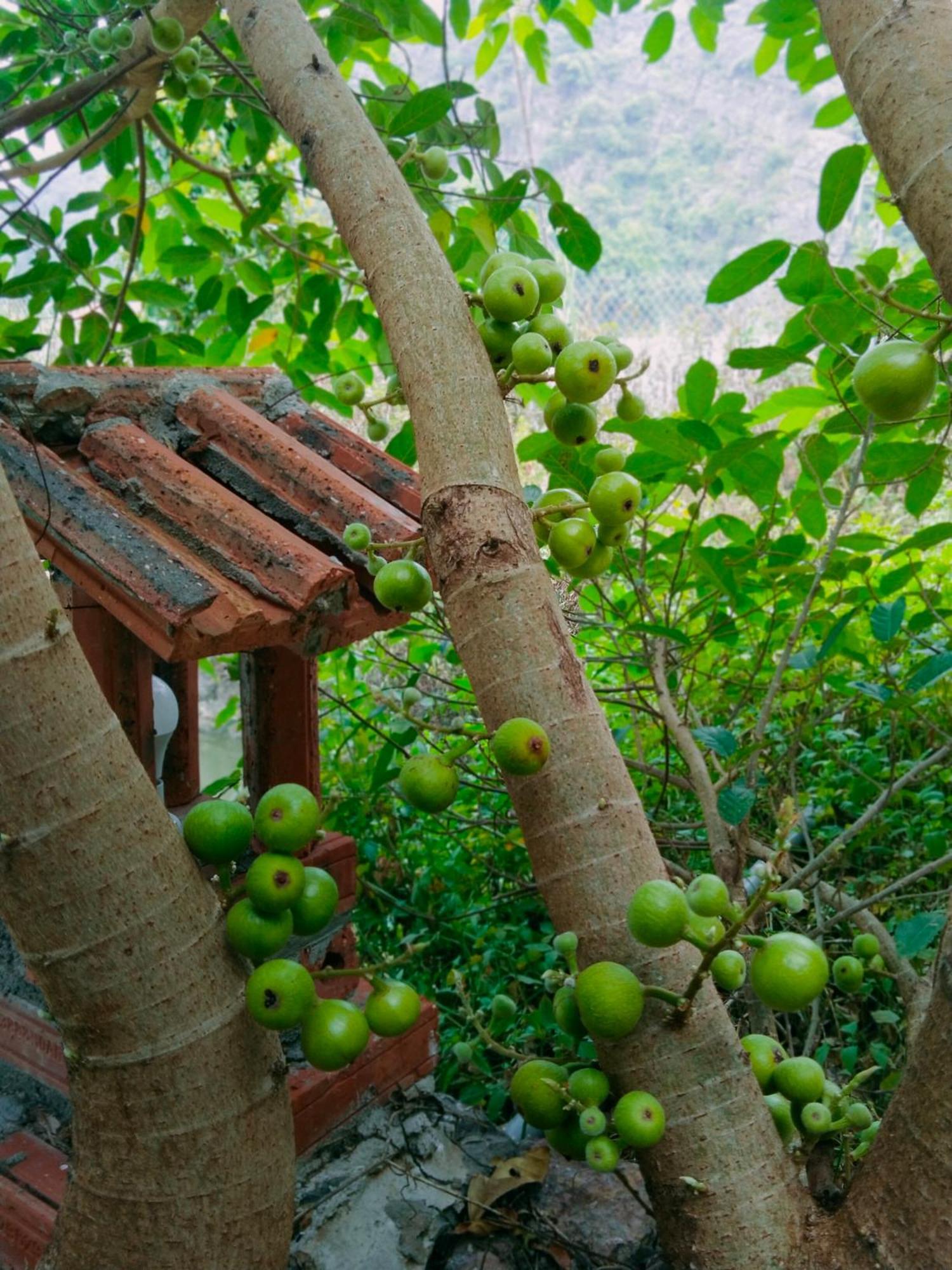 Hang Mua Eco Garden Xuan Son Exterior photo