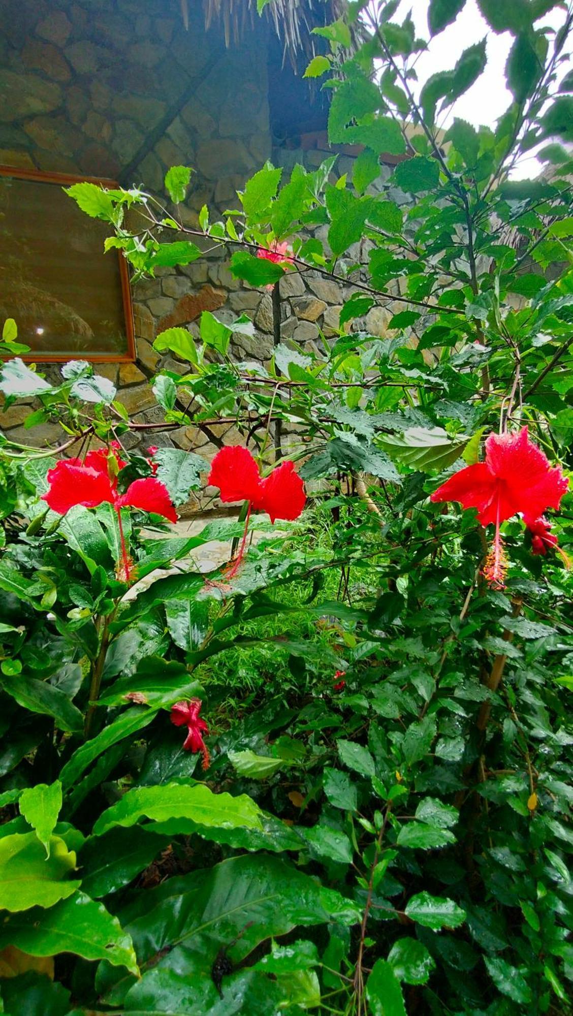 Hang Mua Eco Garden Xuan Son Exterior photo