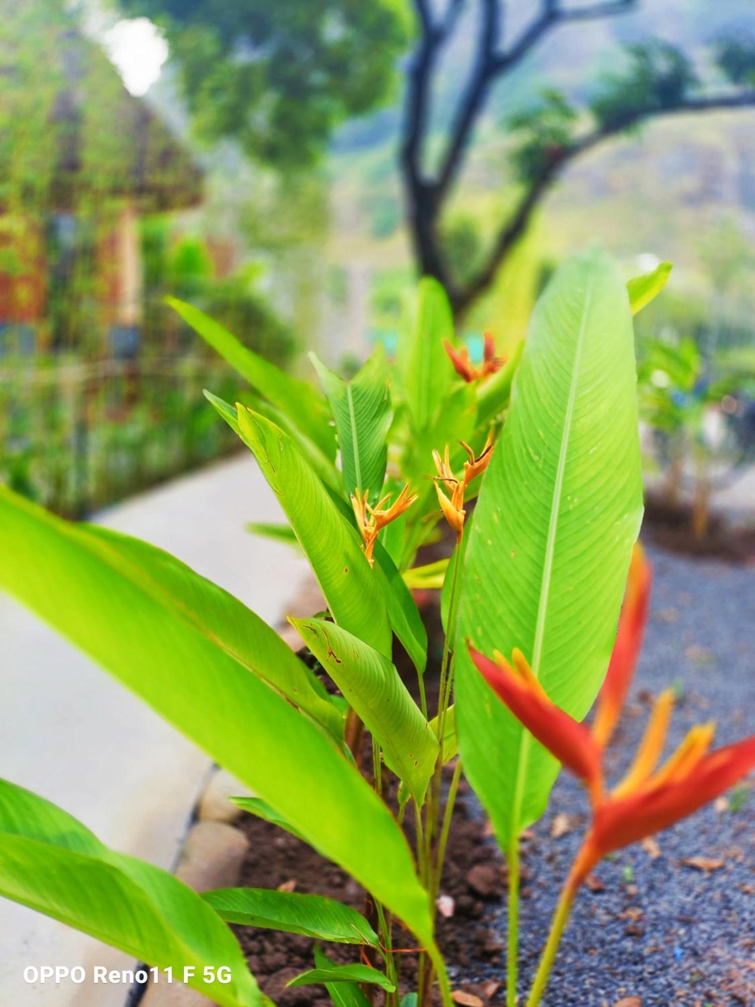Hang Mua Eco Garden Xuan Son Exterior photo